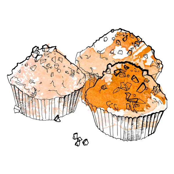 Hand drawn illustration of cupcake — Stock Vector