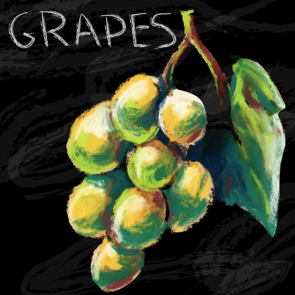 Grüne Trauben und Blätter, Handzeichnung — Stockvektor
