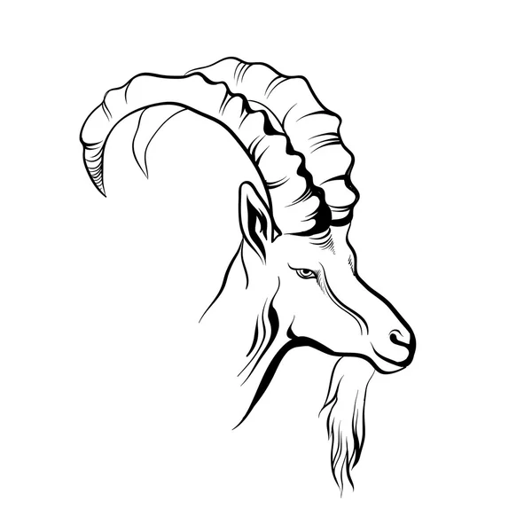 Mountain goat black and white — Stock Vector