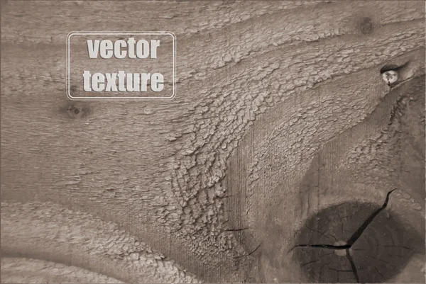 Realistische Holzstruktur — Stockvektor