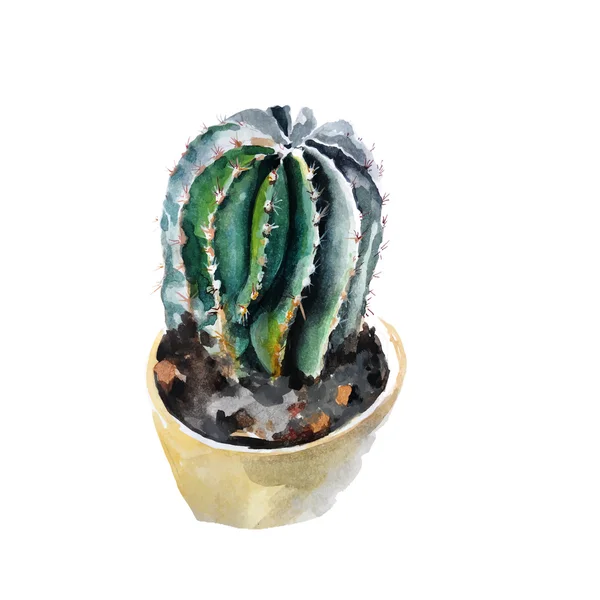 Kaktus isoliert auf weißem Hintergrund — Stockvektor