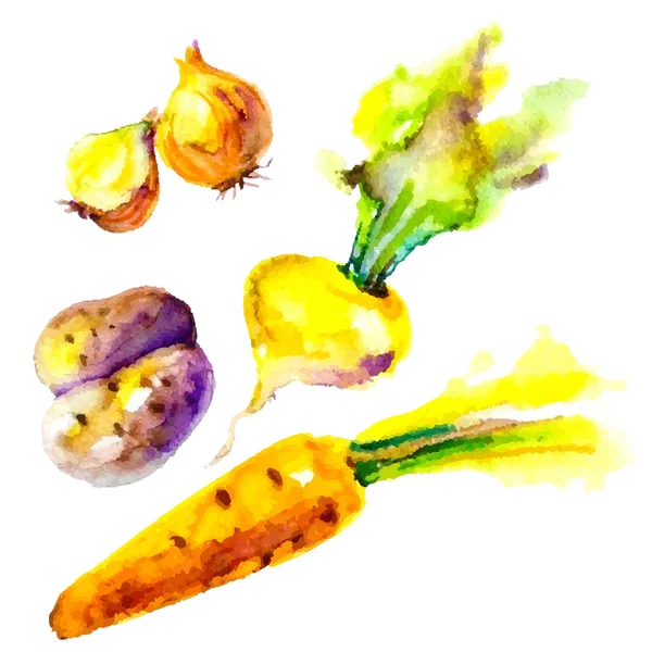 Conjunto de legumes aquarela — Vetor de Stock