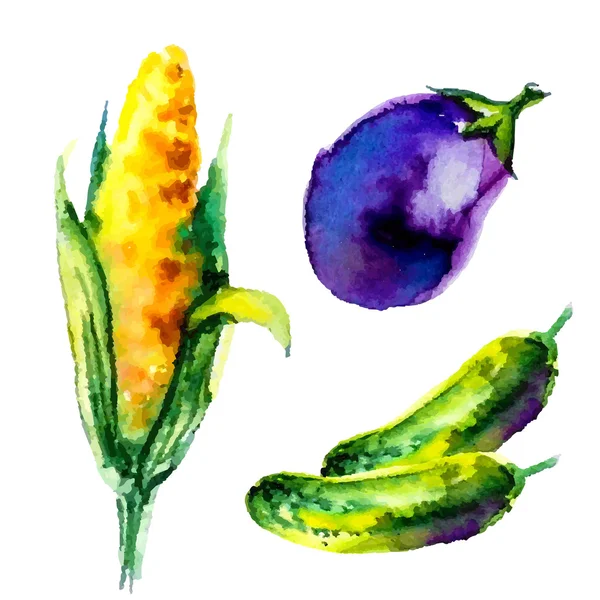 Ensemble de légumes aquarelle — Image vectorielle