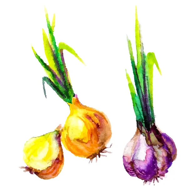 Ensemble de légumes aquarelle — Image vectorielle