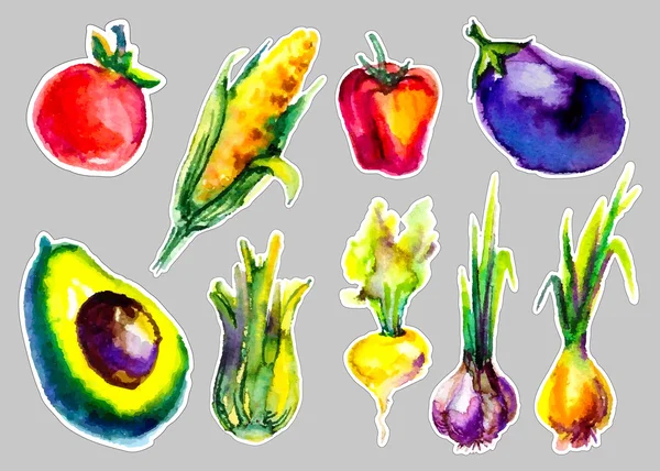 Watercolor vegetables set — Stock Vector