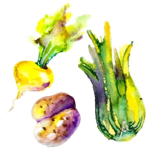 Conjunto de legumes aquarela — Vetor de Stock