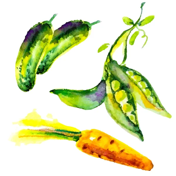 Ensemble de légumes aquarelle — Image vectorielle