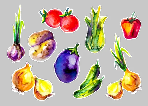 Акварельные овощи — стоковый вектор
