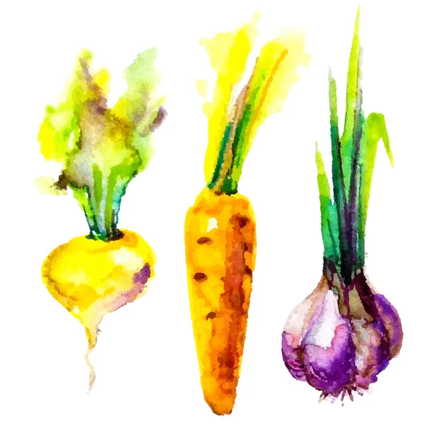 Ensemble de légumes aquarelle — Image vectorielle