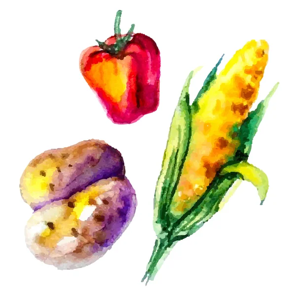 Ensemble de légumes aquarelle — Image vectorielle