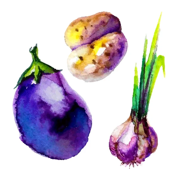 Watercolor vector vegetables set — Stock Vector
