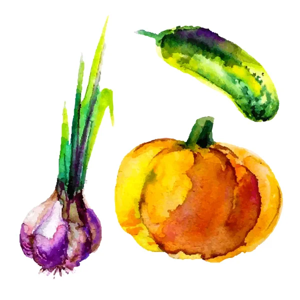 Artistic watercolor vegetables — Stock Vector