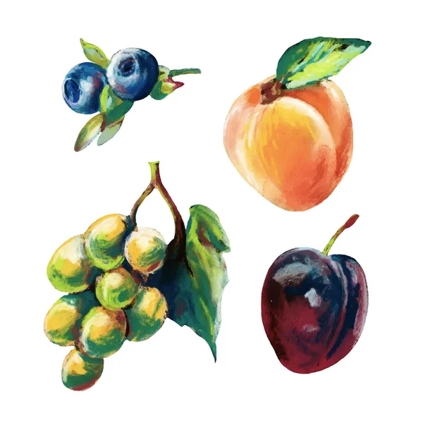 Sada křídy barevné ovoce — Stockový vektor