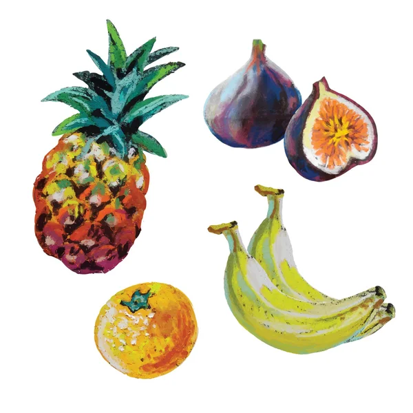 Ensemble vectoriel de fruits à craie colorés — Image vectorielle