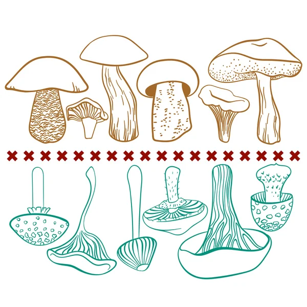 Table vectorielle de champignons toxiques et comestibles sur fond blanc — Image vectorielle