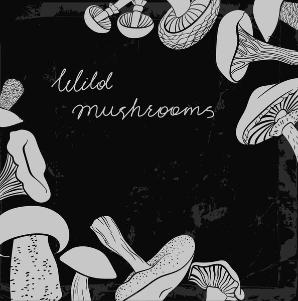 Frame of different hand drawn mushrooms on chalkboard. Can be used us restaurant menu design