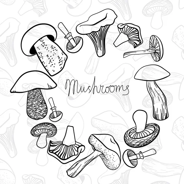 Quadro circular de cogumelos desenhados à mão diferentes em branco e preto. Pode ser usado nós projeto do menu do restaurante . —  Vetores de Stock