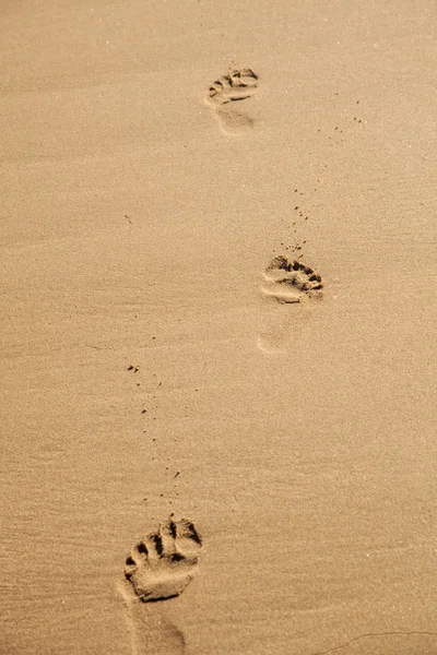 Foot Prints Wet Sandy Beach Travel Concept — Stock Photo, Image