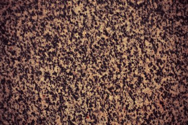 Yüzey çatlaklar ile kaya