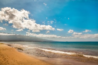 Güzel sahil ve tropikal deniz