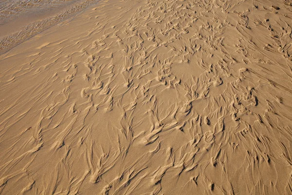 Wellen Auf Der Oberfläche Des Strandes Bei Sonnigem Wetter — Stockfoto