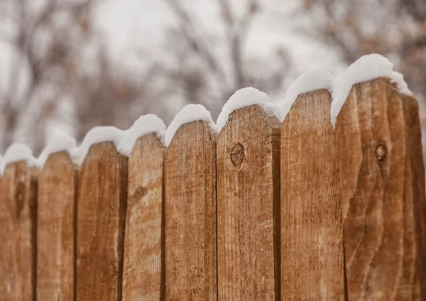 Snow-covered private wooden fence, close-up