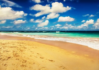 Güzel sahil ve tropikal deniz