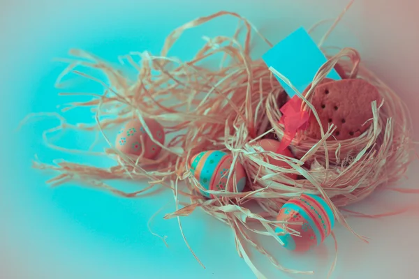 Colorful Easter Eggs Bird Nest Blue Background — Stock Photo, Image