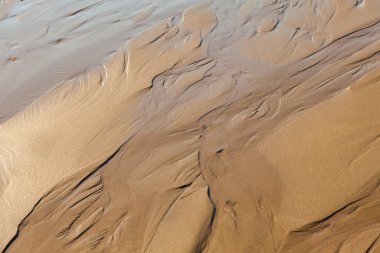 güneşli bir gün ıslak kumsalda yüzeyi sakinleştirmek kum dalgaları