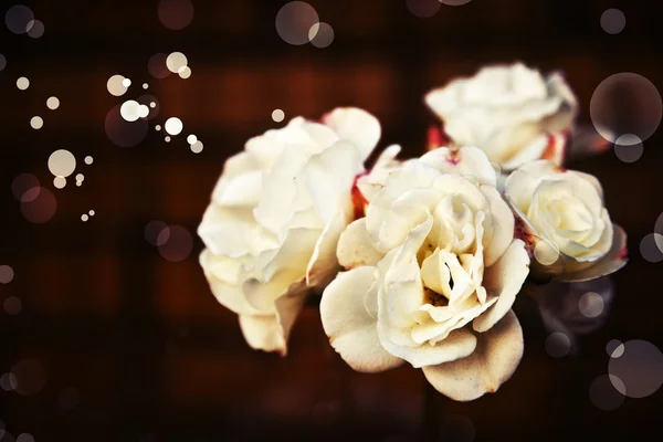 Close Beautiful White Roses Vintage Style — Stock Photo, Image