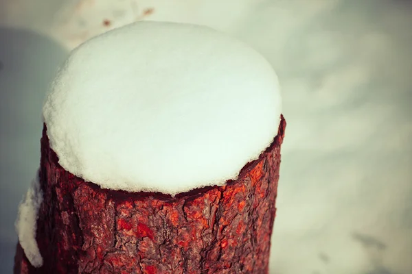 冬の牧草地で雪に覆われた切り株クローズ アップ — ストック写真