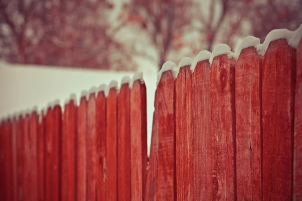 Snow-covered private wooden fence, close-up