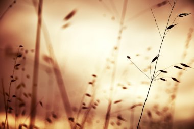 Güzel sonbahar manzarası