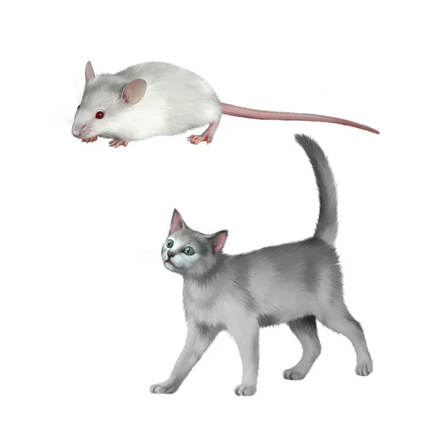 Mouse e gattino grigio — Foto Stock