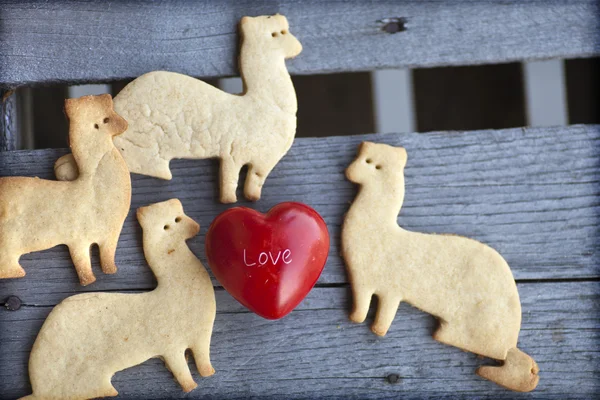 Biscotti a forma di furetti con cuore — Foto Stock