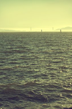 san francisco şehir cityscape