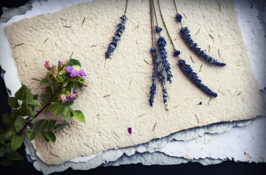 Lavanta çiçekleri ile eski kağıtlar