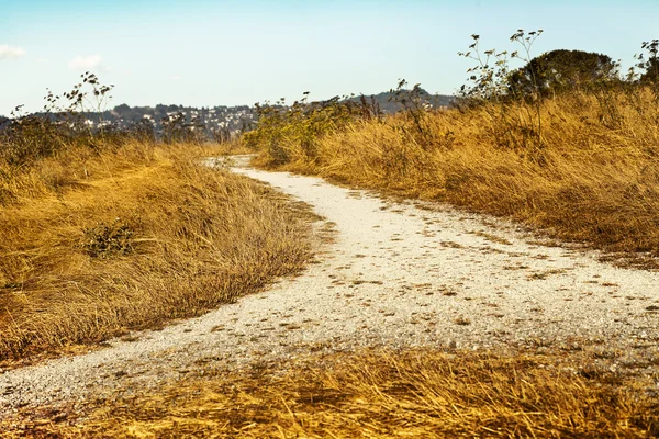 Tarlalardan geçen boş kırsal yol — Stok fotoğraf