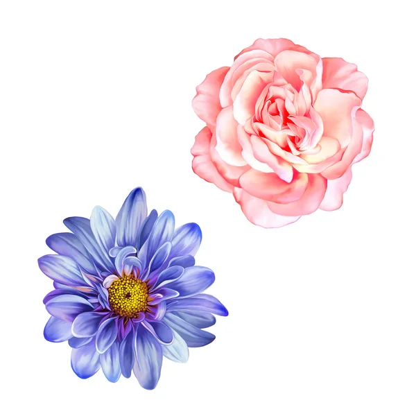 Blue Mona Lisa flower and pink rose — Stock Photo, Image