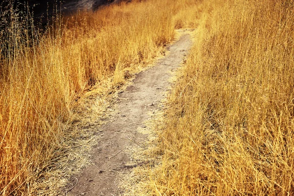 Dağlar yol şeritli — Stok fotoğraf