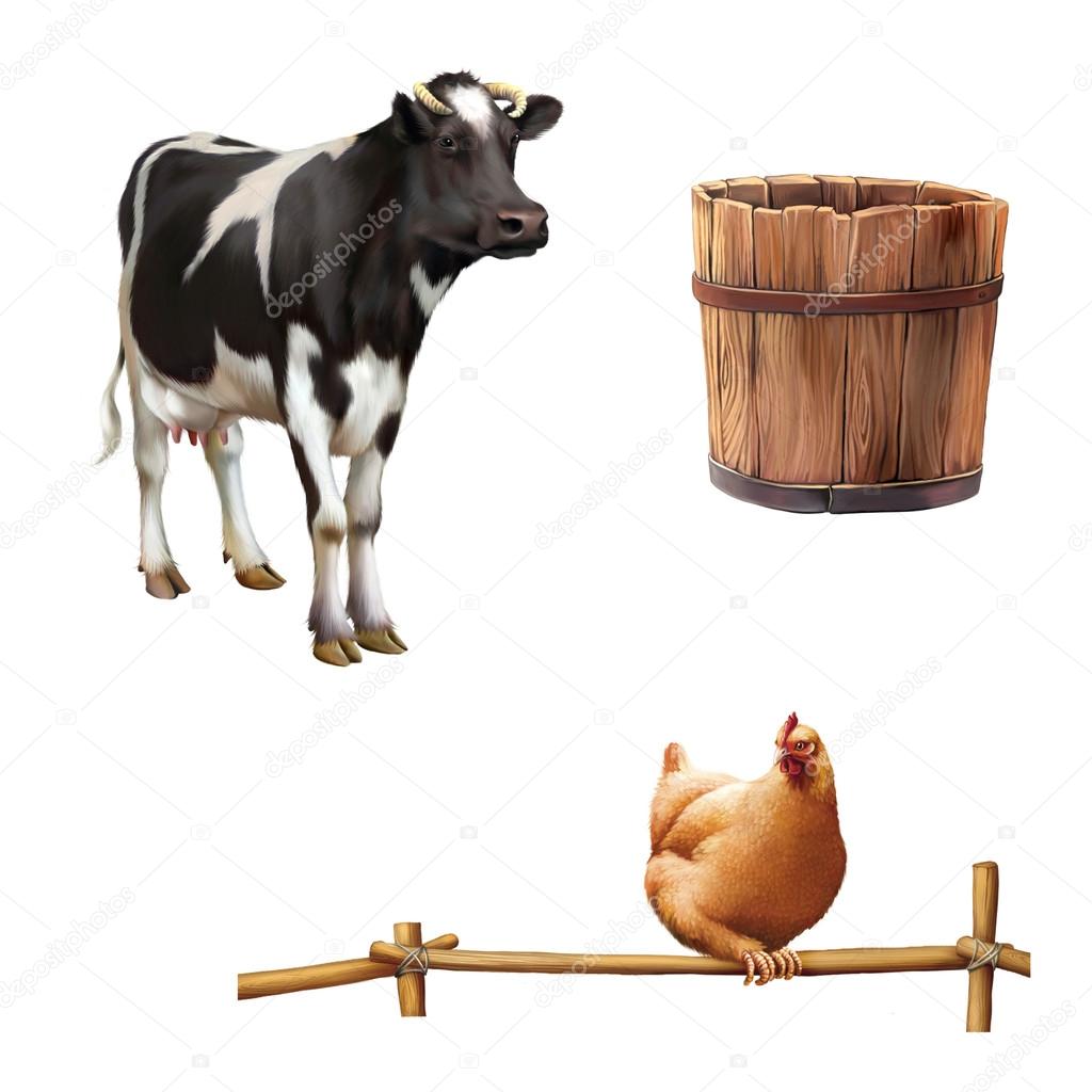Cow and red chicken