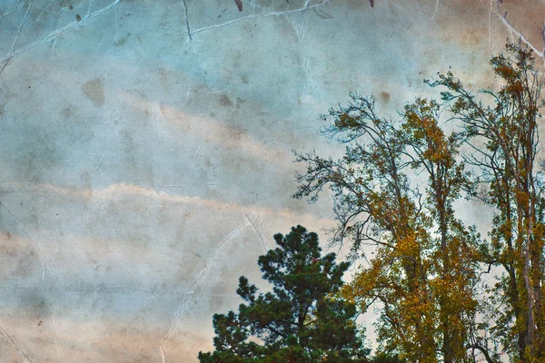 Nube en el cielo azul — Foto de Stock