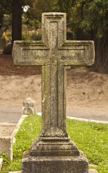 One cemetery cross — Stock Photo, Image