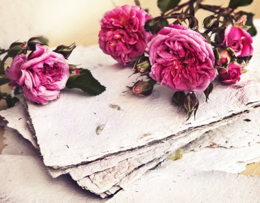 pembe Gül, yaprakları ve el yapımı kağıt