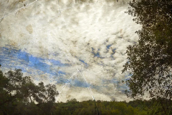 Zomer landschap met bewolkte lucht — Stockfoto