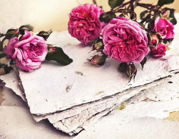 Розовые розы, лепестки и бумага ручной работы — стоковое фото
