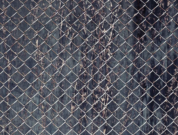 Tavuk tel çit — Stok fotoğraf