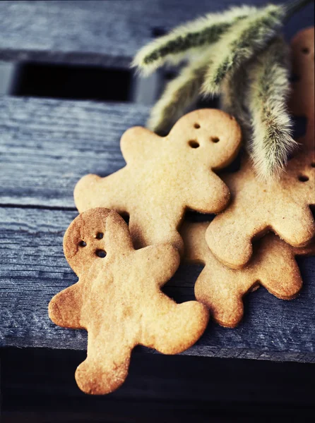 Biscuits au pain d'épice de Noël — Photo