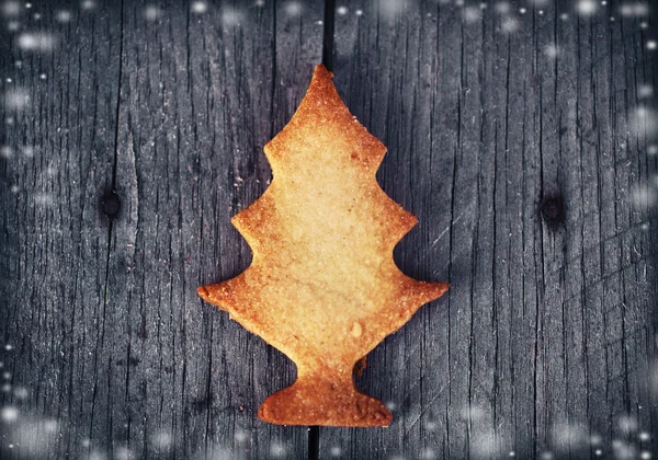 Tannenbaum-Plätzchen — Stockfoto