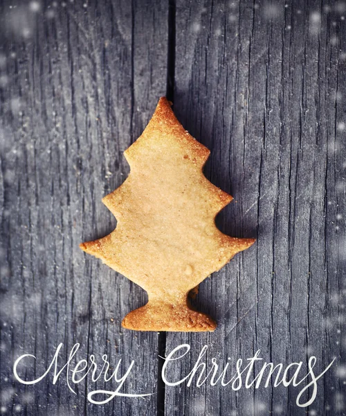 Christmas fir tree cookie — Stock Photo, Image